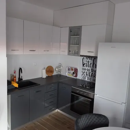 Apartment Savic *