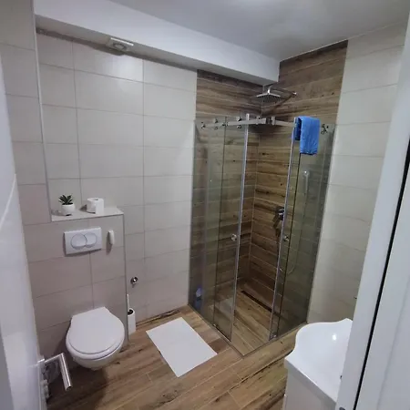 Daire Savic Zlatibor