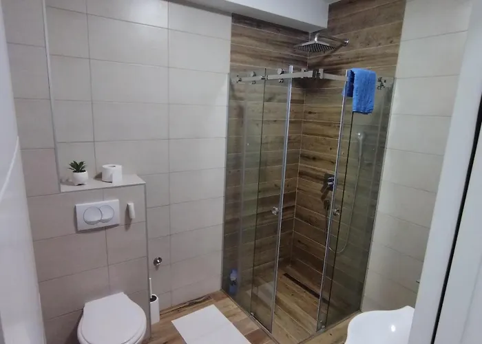 Daire Savic Zlatibor